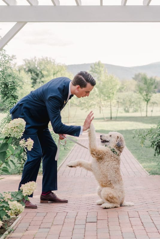 Dog-friendly Wedding