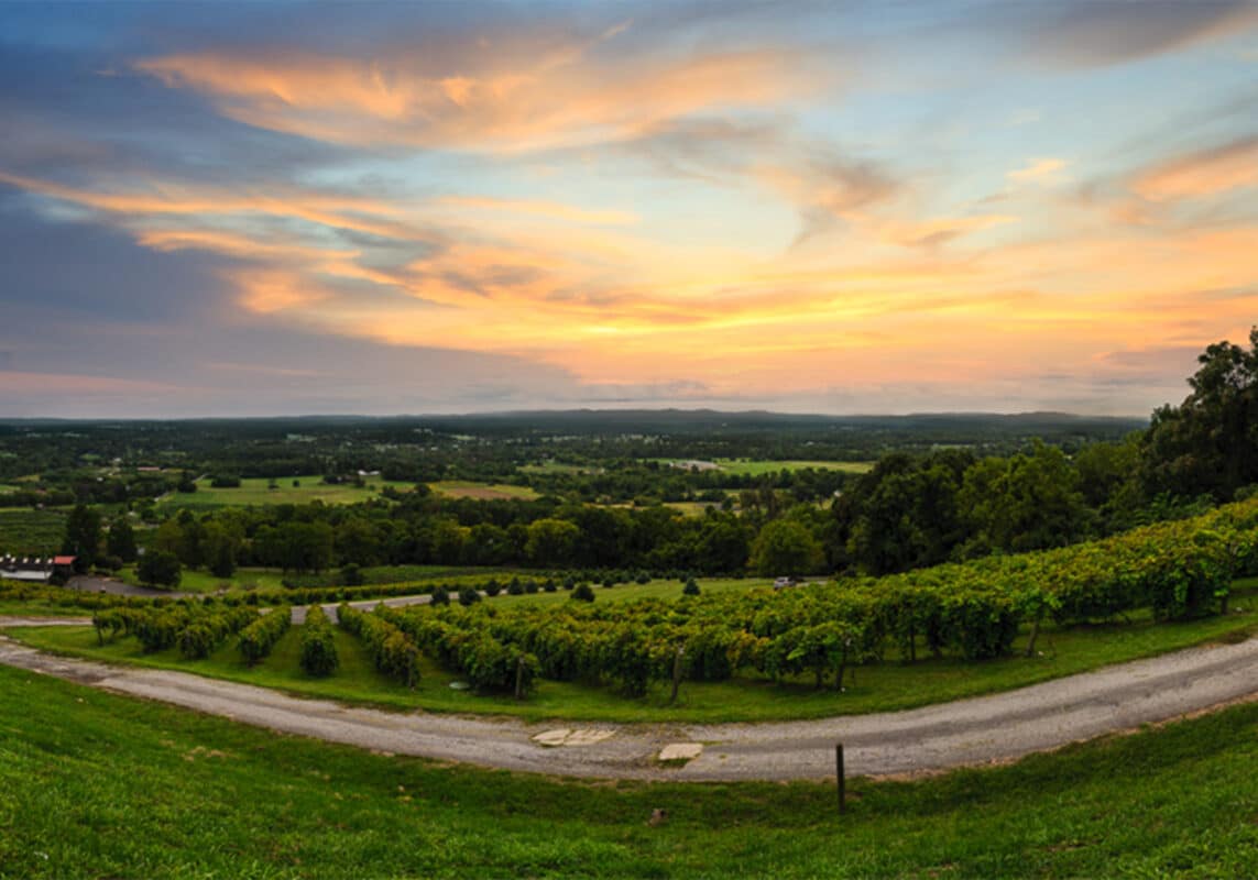 Sunset at Bluemont Vineyard in Loudoun County