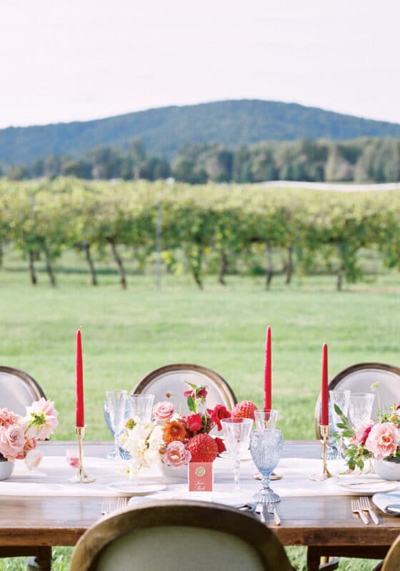 Keswick Vineyards, Blooming Wed, Allison Dash Photography, DJ FIT, The Aerialist Press, Blushtype Designs, Lexington Carriage Company, MS Events, Latavola Linen, Blooming Wed, Travel House Collective, The Catering Outfit, Belinda Ni, Cake By Rachel