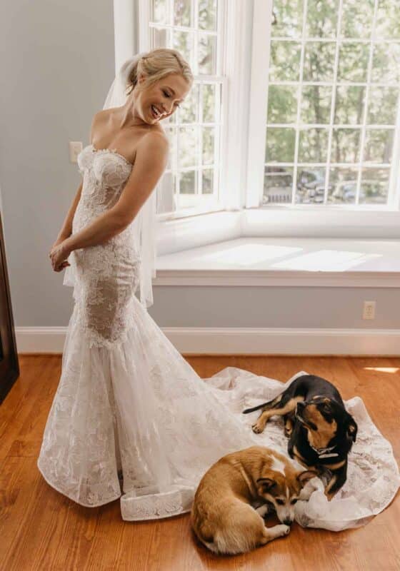 pets, bride with dog, dog on brides train