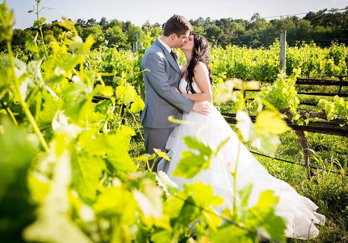 Bride and groom in gray suit kiss among the vineyard grapevines at Williamsburg Winery
