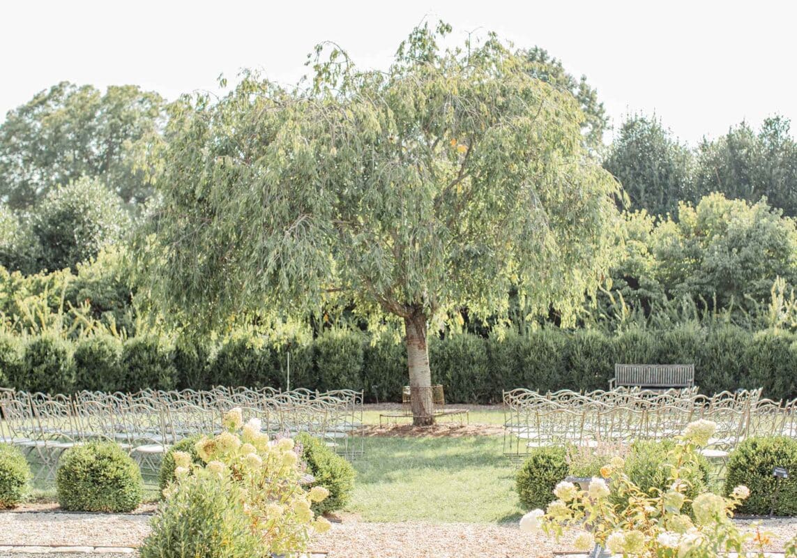 wedding ceremony under a weeping willow