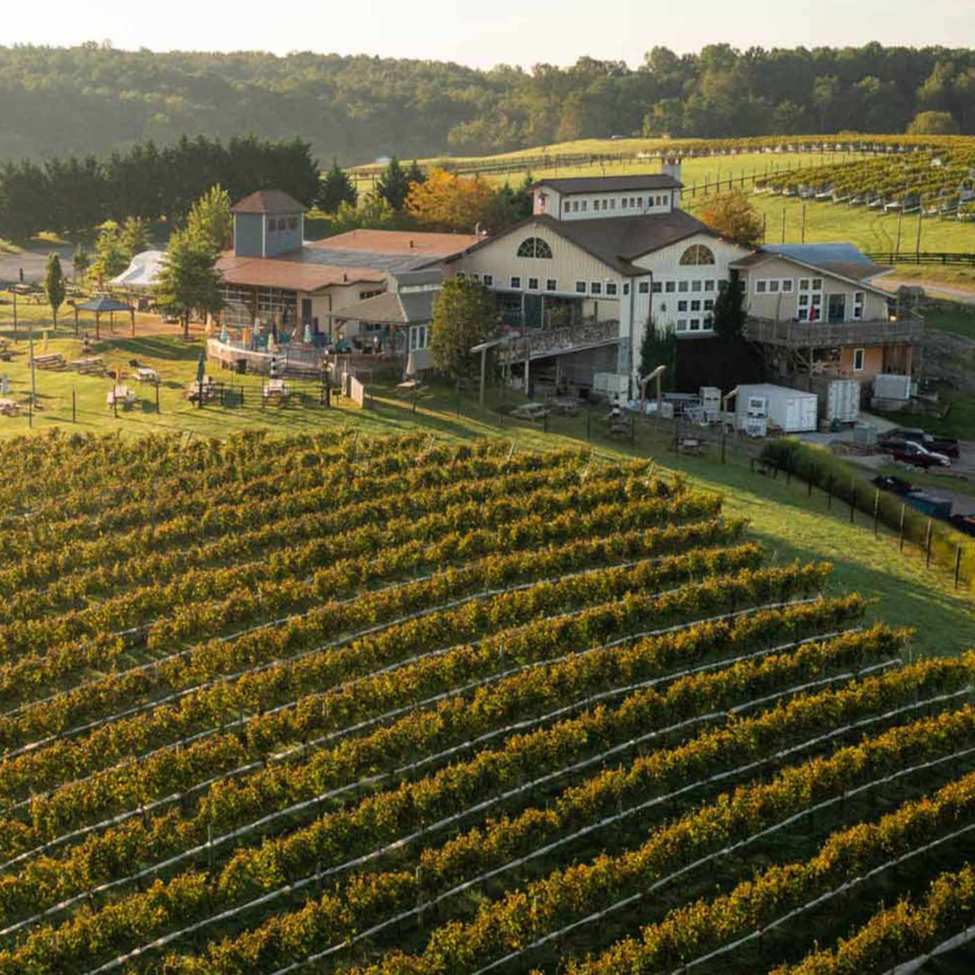 Wine & Country Weddings Week - Wine and Country Weddings